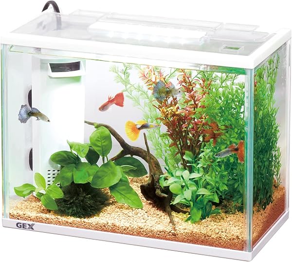 GEX AQUARIUM ポリスチレン サイレントフィット アルファ 300 静音・省電力フィルター付 サカナ用 - 2