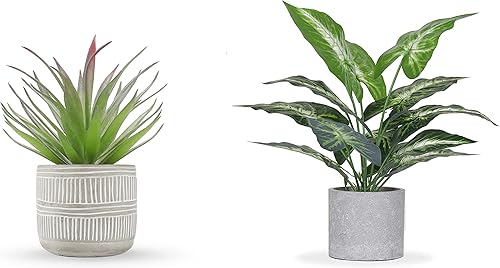 Der Rose Paquete de suculentas artificiales y pequeñas plantas falsas de 16 pulgadas para oficina, escritorio, estantes, baño, decoración del hogar