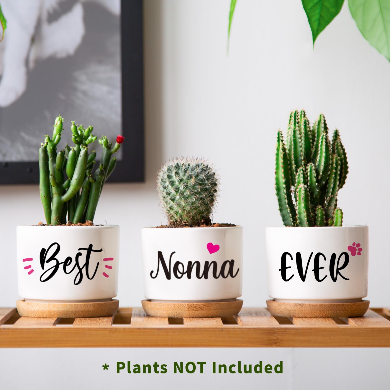 AceThrills Nonna Gifts for Birthday, Nonna for Nonnas from Grandkids, Unique Present on Thanksgiving Christmas - 3 Pcs 3.15" Succulent Pots with Bamboo Tray