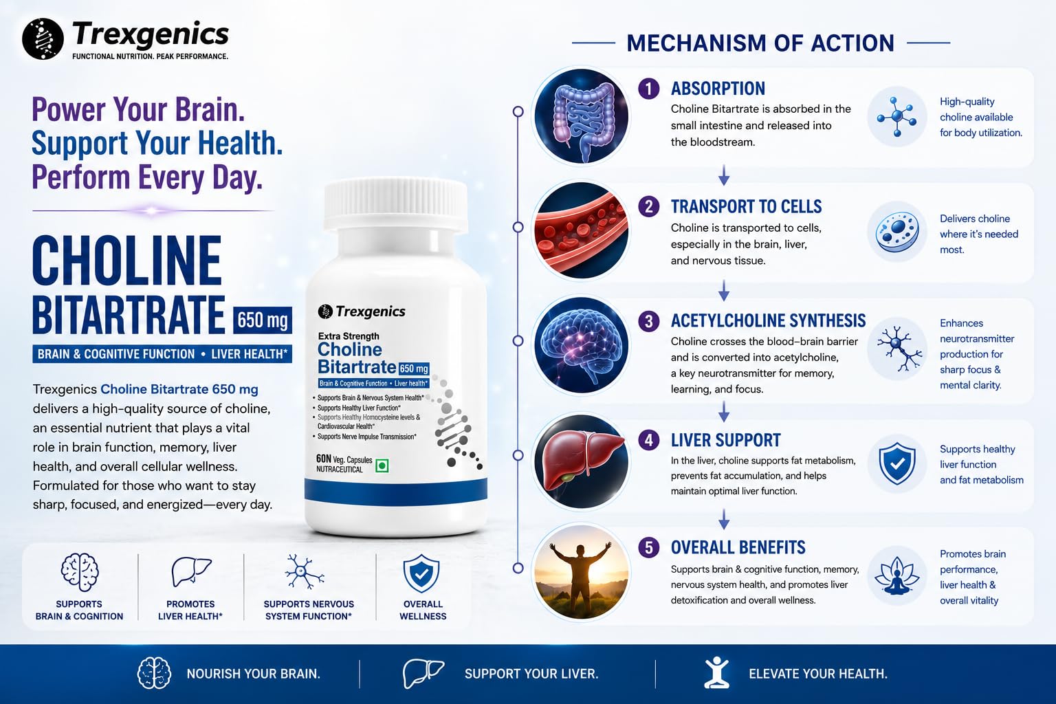 Trexgenics CHOLINE BITARTRATE 650 mg Cognitive Function, Fat Metabolism, Brain & Nervous System Health Support VEGAN & NON-GMO (60 Veg. Capsules) (Pack of 1) 2