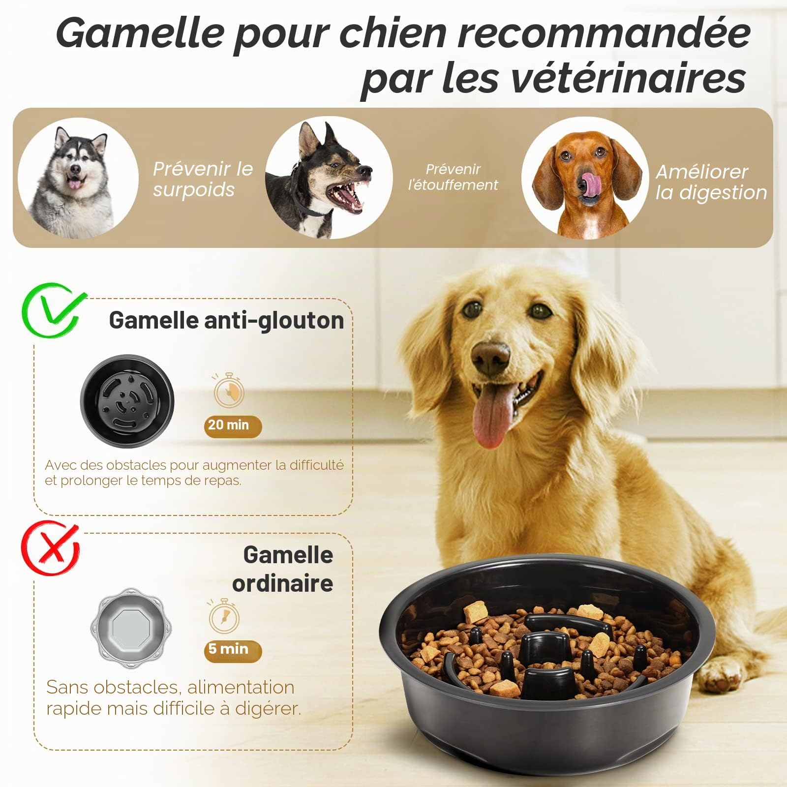 Lewondr Gamelle surélevée pour Chien - Gamelle surélevée en Acier Inoxydable - 3 hauteurs réglables - pour Chiens de Petite et Grande Taille - Antidérapante - Amovible - Passe au Lave-Vaisselle
