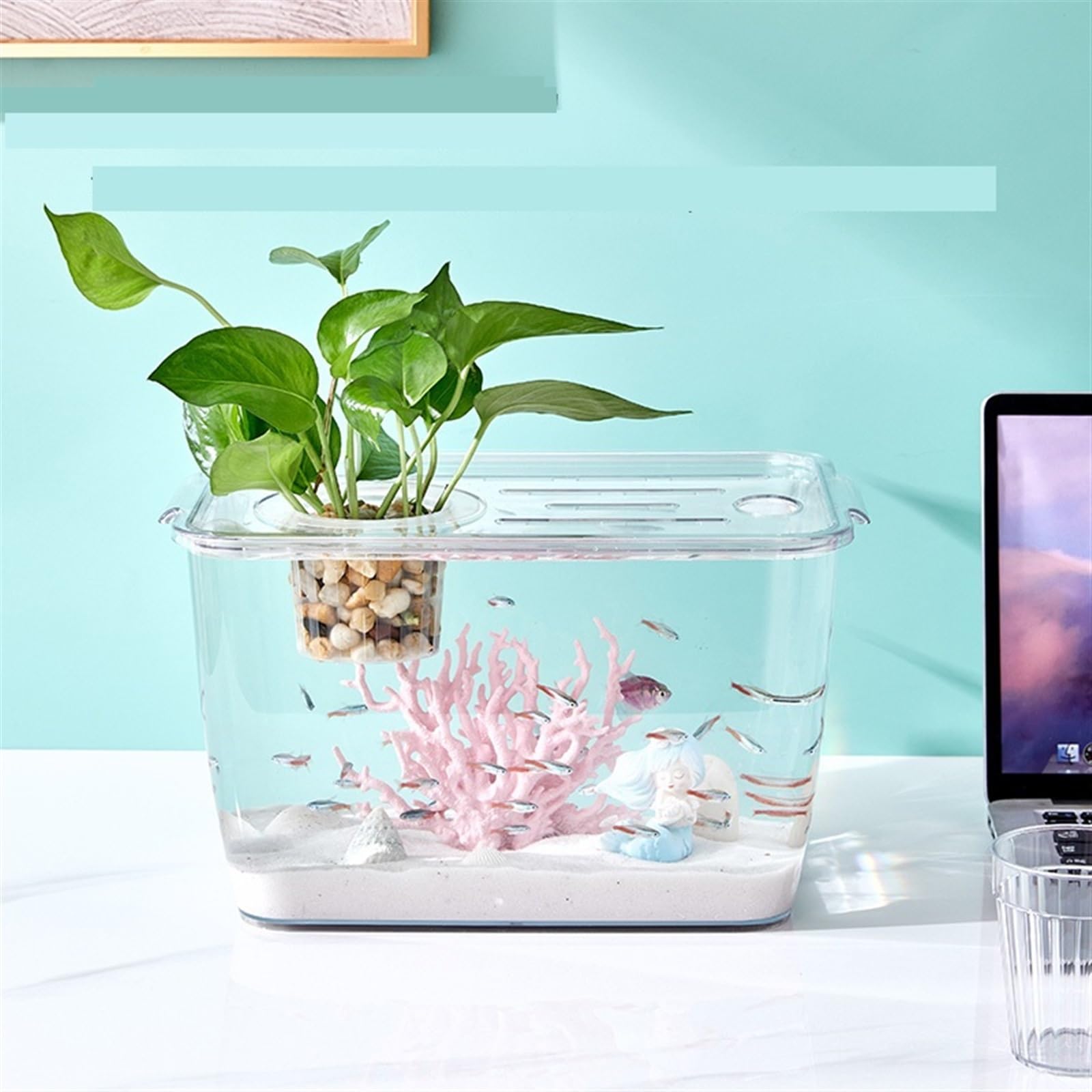 Amazon.com : FGSHCZ82HRY Fish Aquarium Tank Super Clear Acrylic