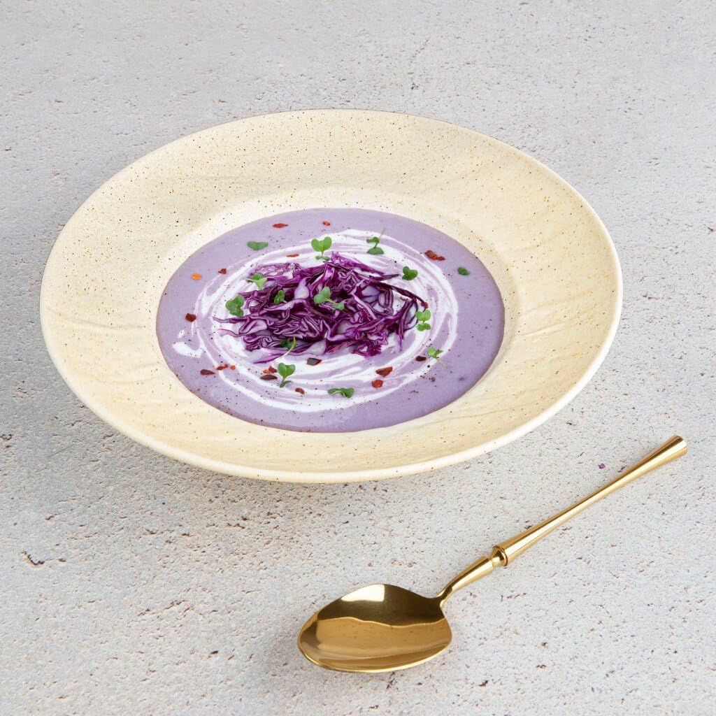 Wilmax | Platos hondos | Platos hondos | 2 unidades 25,5 cm/350 ml | Platos llanos de porcelana | aspecto de piedra | Platos para sopas, pastas, ensaladas, aptos para lavavajillas | para microondas |