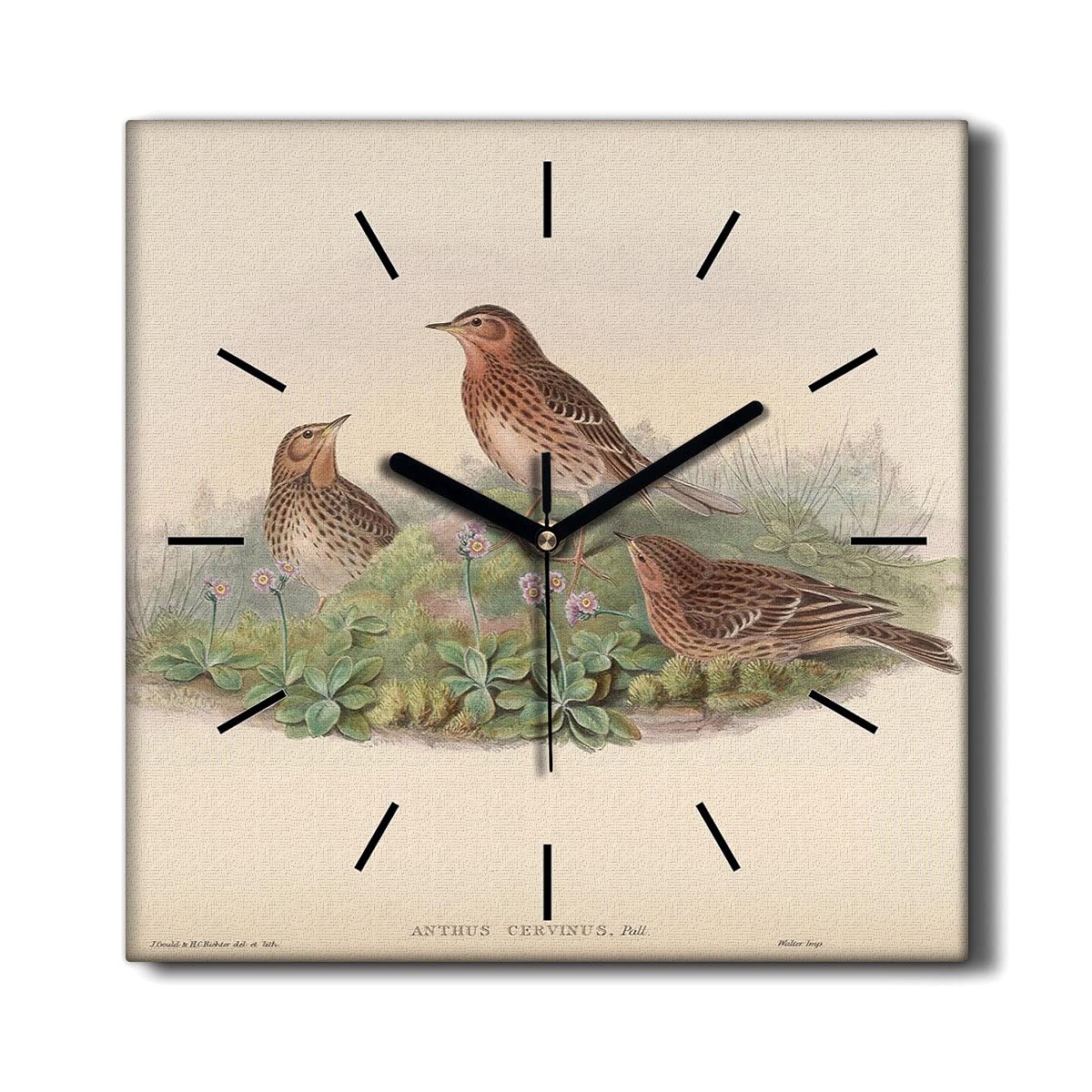 Horloge sur Toile Anti-Bruit 30x30cm Coloray pour Décorer un Salon Calme Motif Oiseaux