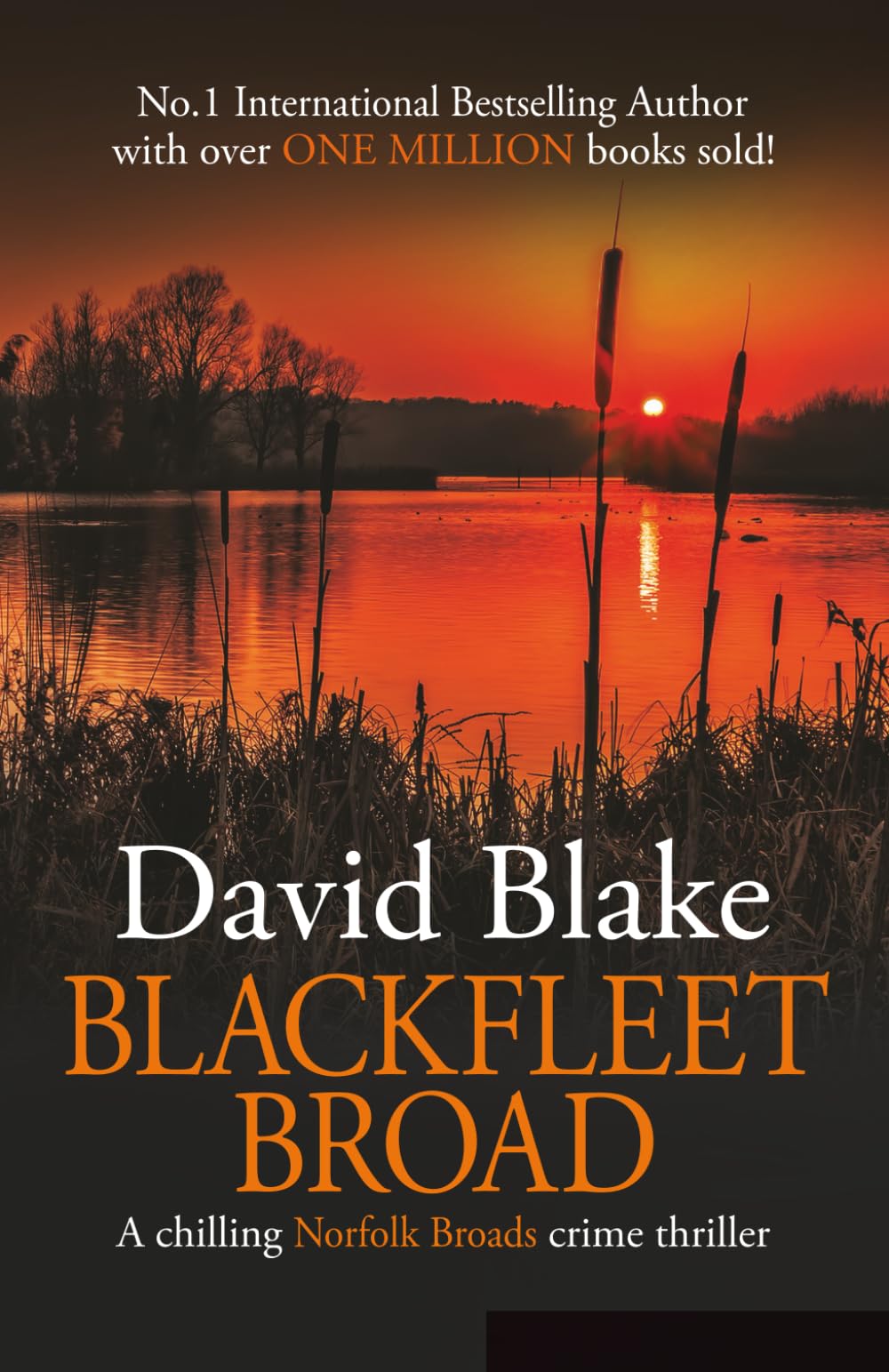 Blackfleet Broad: A chilling Norfolk Broads crime thriller (DI Tanner Norfolk Broads Murder Mystery Series)