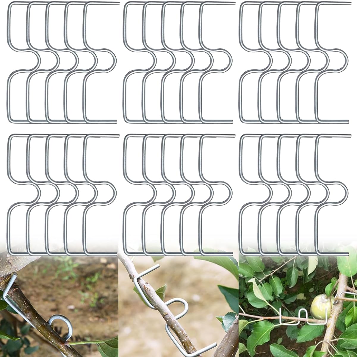 30 Pezzi Estrattori Per Rami Di Albero Da Frutto - Divaricatori In Acciaio Inox - Forme M E S - Attrezzi Agricoli Per Orto E Giardino - 2