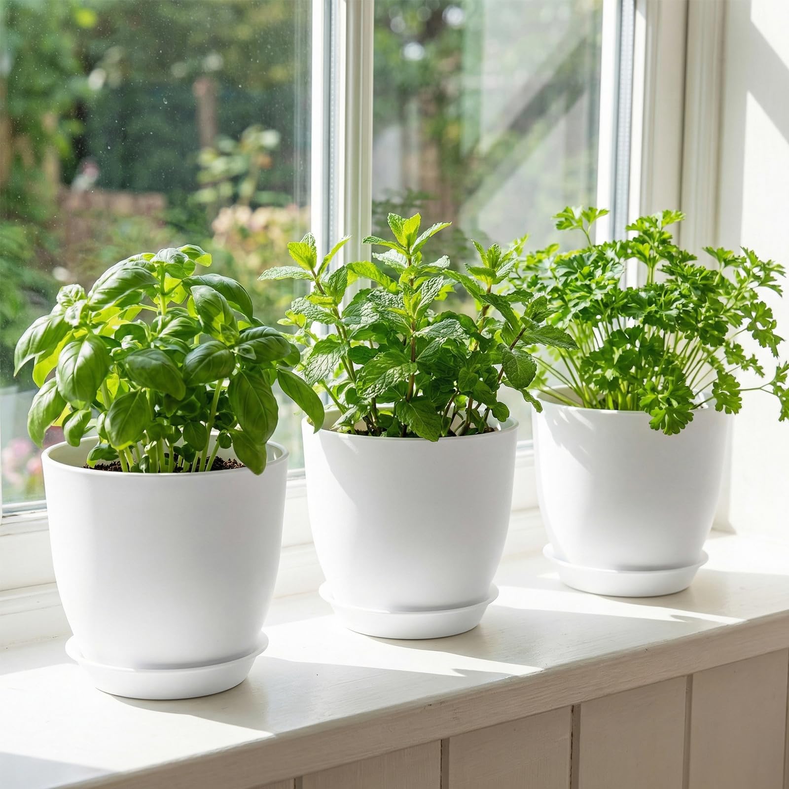 Lot de 10 pots de fleurs en plastique robuste de 16 cm avec trous de drainage et soucoupes pour plantes d'intérieur et plantes grasses Blanc 16 cm