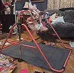 Review Image by wkinhrd wkinhrd