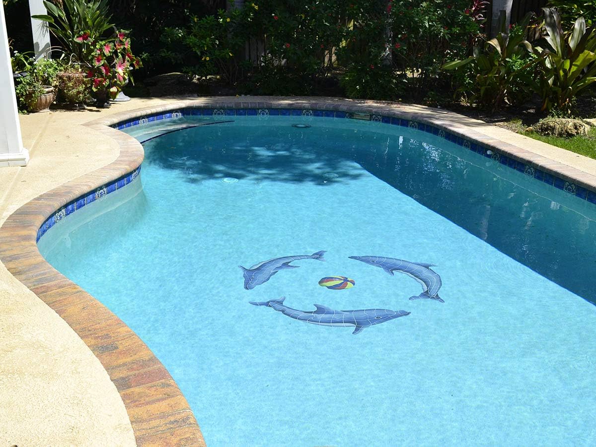 Dolphin Group Ceramic Swimming Pool Mosaic (Multi, 48" x 48" with Shadow)