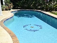 Vista 2 de Dolphin Group - Mosaico de cerámica para piscina (Multi, 42 x 42 pulgadas)