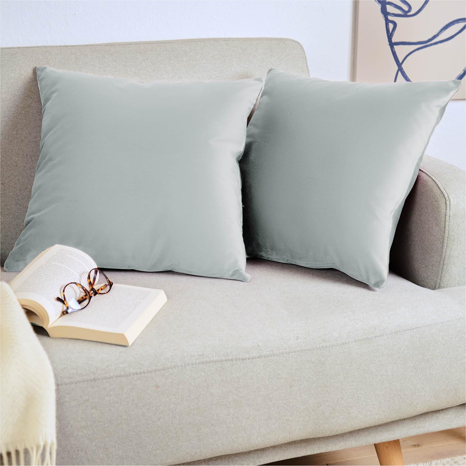 Blumtal Set di 2 Federe Cuscini Divano 50x50 cm in Velluto, con Chiusura Lampo Invisibile, Eleganti Copricuscini Divano in Morbido Velluto,Taglia 50 x 50, Grigio Dove