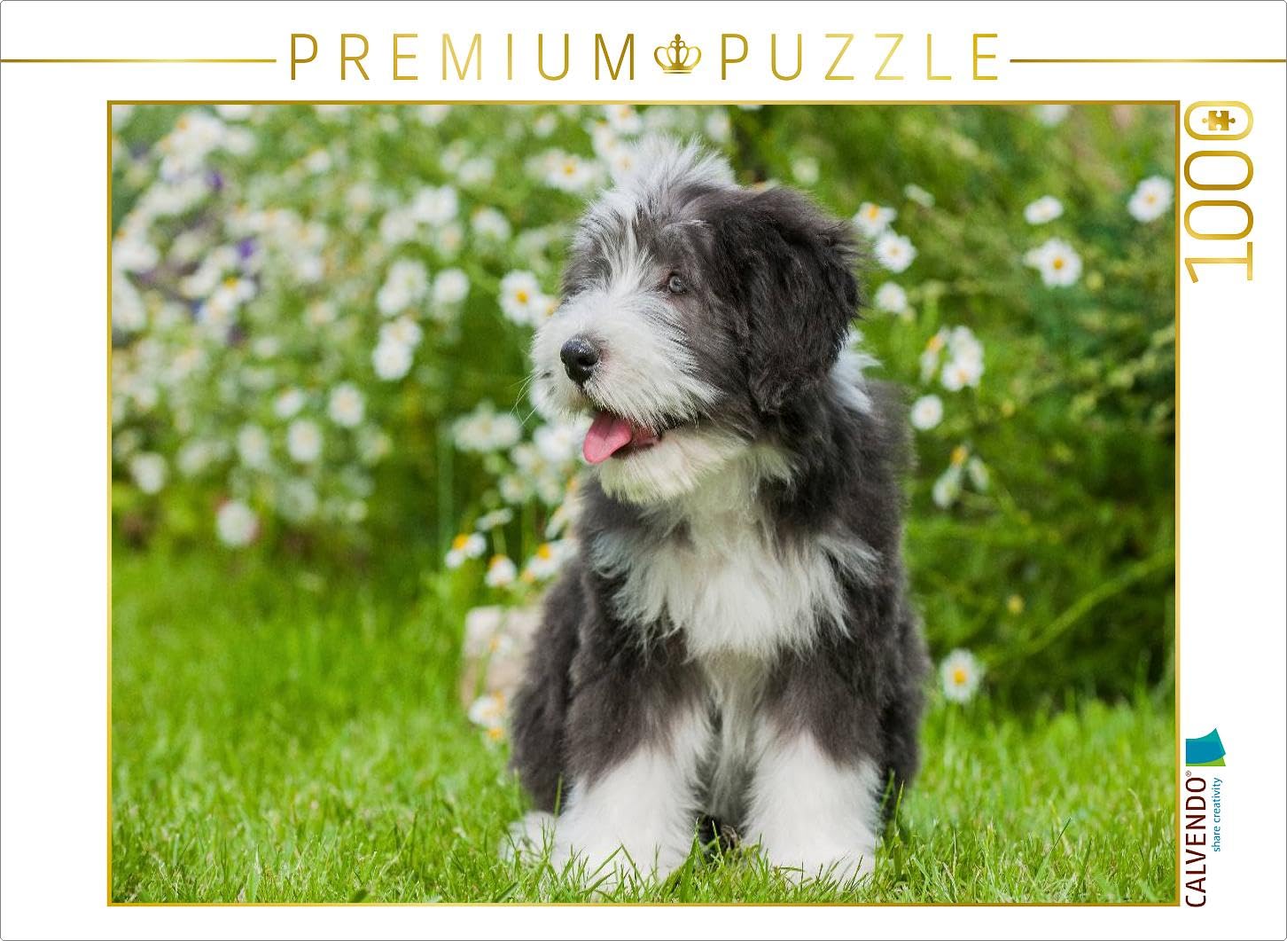 CALVENDO Puzzle Chiot Collie Barbu 1000 Pieces 64 x 48 cm from Sista-Tierfoto