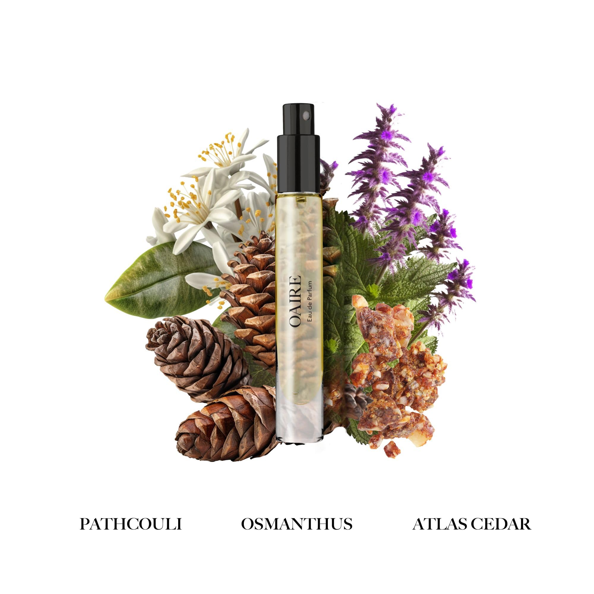 Caswell-Massey Fragrances