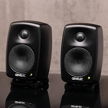 Amazon | GENELEC 8010AM リファレンス・モニタースピーカー