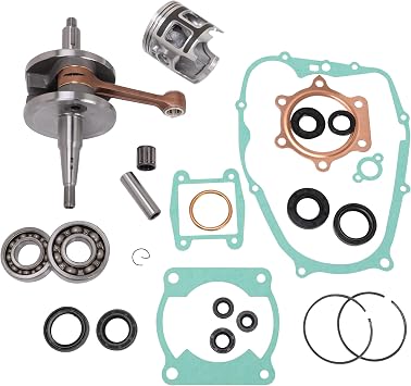 CAREONLINE Crankshaft Oil Seal Rebuild Compatible with Yamaha Blaster 200 | Compatible with YFS200 1988-2006 93102-25331-00 2XJ-11631-01-97 93306-30556-00