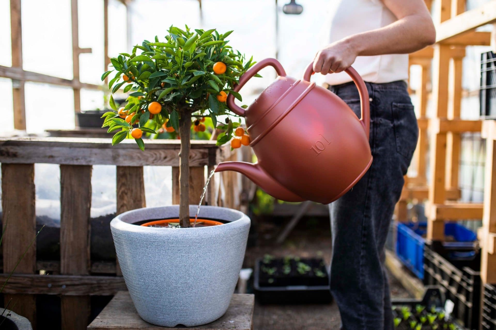 Arrosoir Jardin Arrosoir Xala Lungo 8L Vieux Vert - Résistant UV Arrosoir Jardin Arrosoir Xala Lungo 8L Vieux Vert - Résistant UV