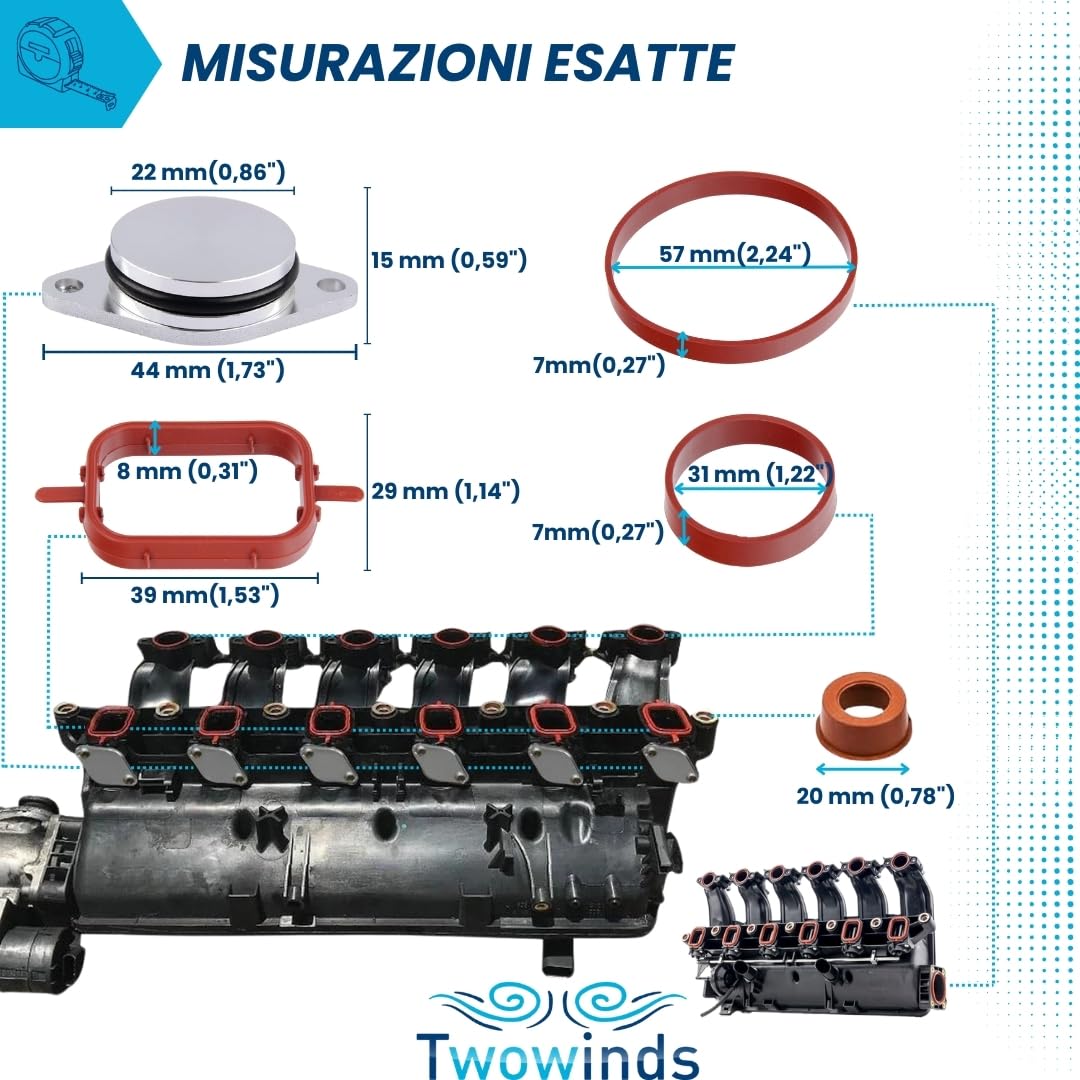 Twowinds - Kit Annullare Farfalle Collettore Aspirazione (22mm) Compatibile con BMW E38 E87 E46 E90 E91 E92 E93 E39 E61 E63 E64 E65 E67 E83 E53 E71 E72 - Rimozione Swirl Flap (6 tappi, 20 Guarnizioni)