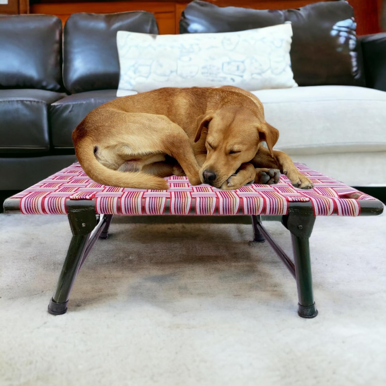ROYALS RORE Leg Fold Pet Dog Bed Strong Quality Iron Frame With Strips Outdoor Indoor Use Size 36X24X8 Inch, Multicolor