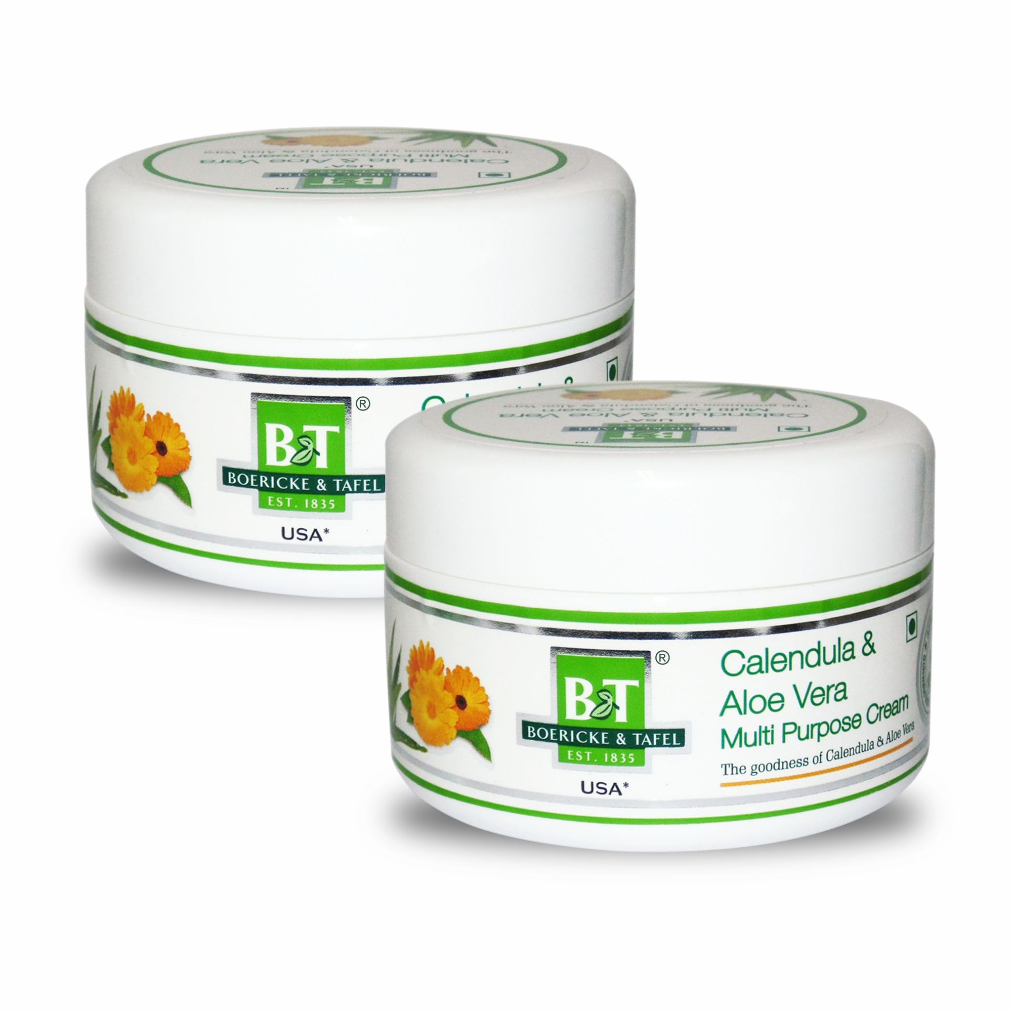 Boericke & Tafel Aloevera Calendula Cream | Helps with Dry Skin | Reduces Hyperpigmentation | Fades Melasma | Soothes Skin Issues | Deeply Hydrates | With Aloe Vera & Calendula| Natural Nourishment - Pack of 2 (100 gm each)-image-19