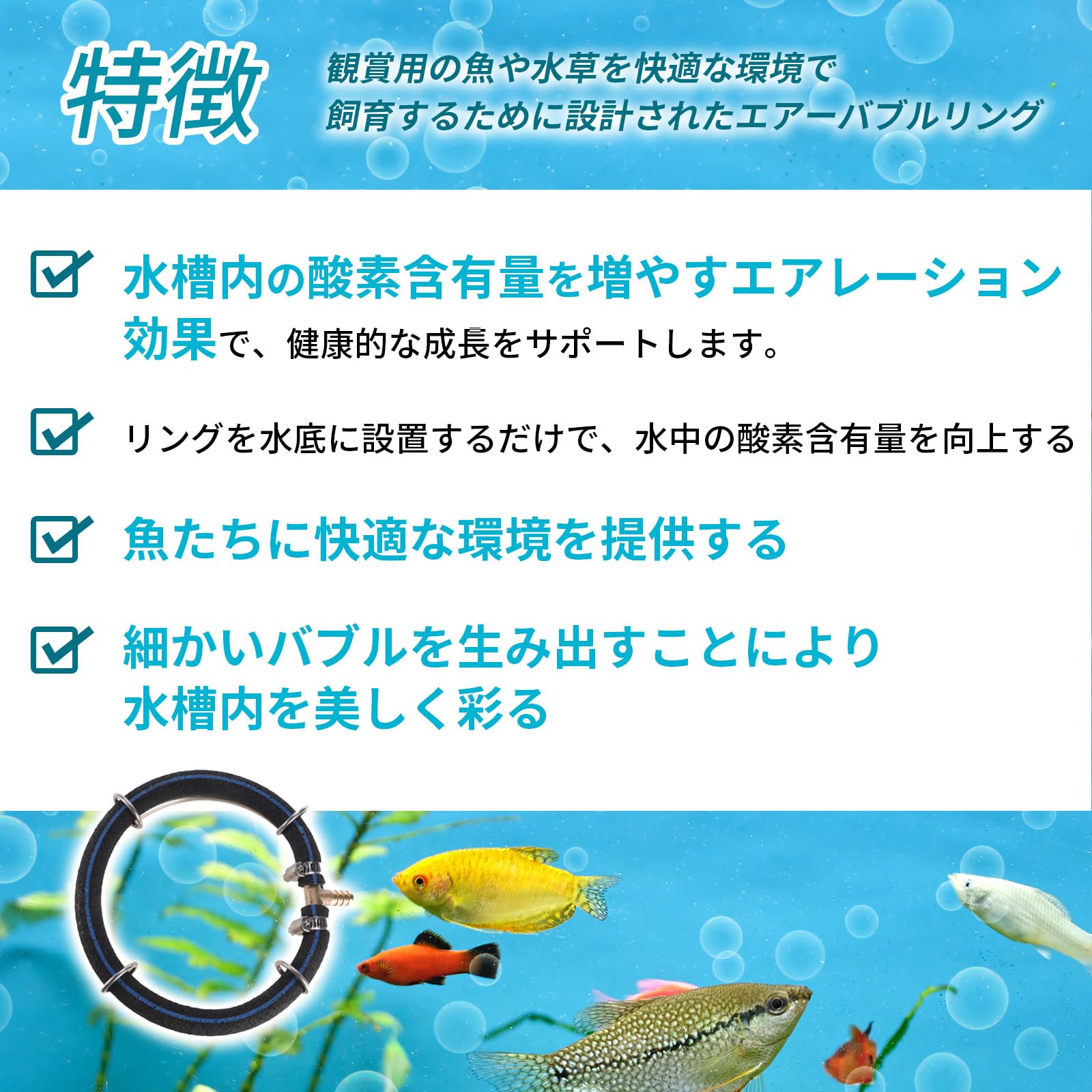 ブロアーとエアレーションストーン エアーストーン バブルディスク アクア用品 エアレーション エア