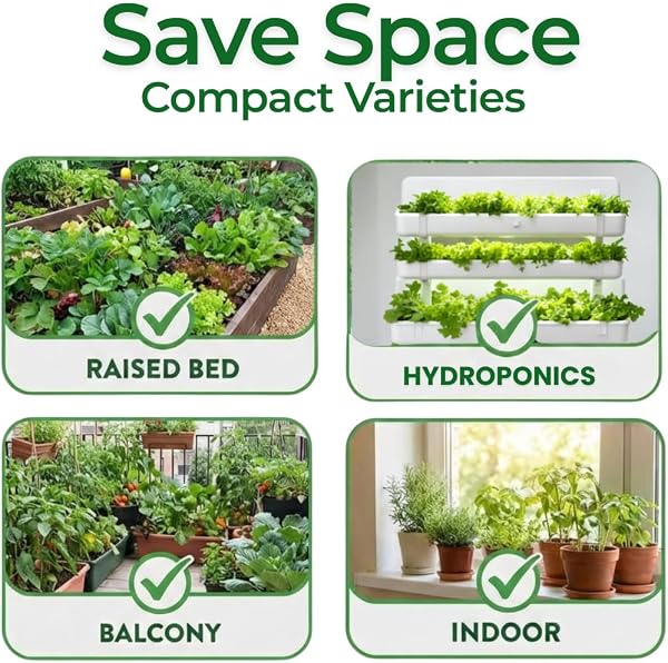 10 Heirloom Vegetable Seed Varieties β Seeds for Planting in Canada, Home and Survival Garden Plant Seeds, Graines de Jardin Canadian Variety Pack Kit - 4