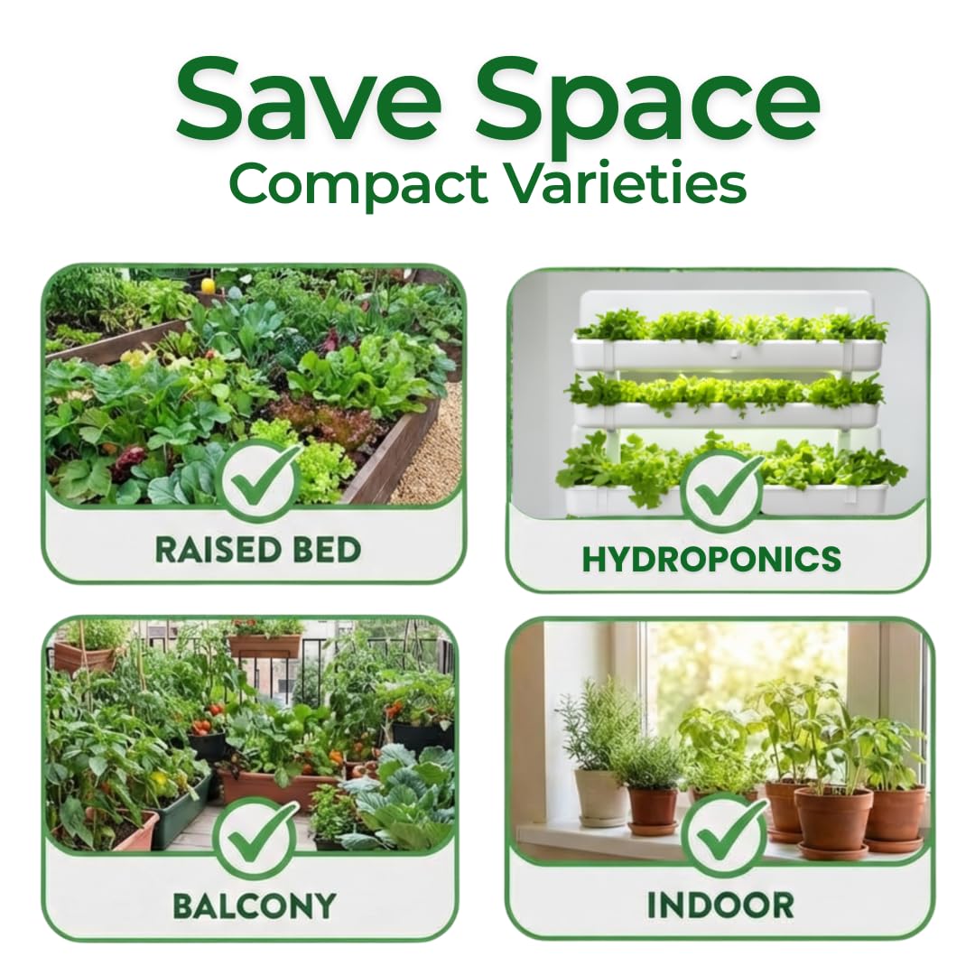 10 Heirloom Vegetable Seed Varieties – Seeds for Planting in Canada, Home and Survival Garden Plant Seeds, Graines de Jardin Canadian Variety Pack Kit - 4