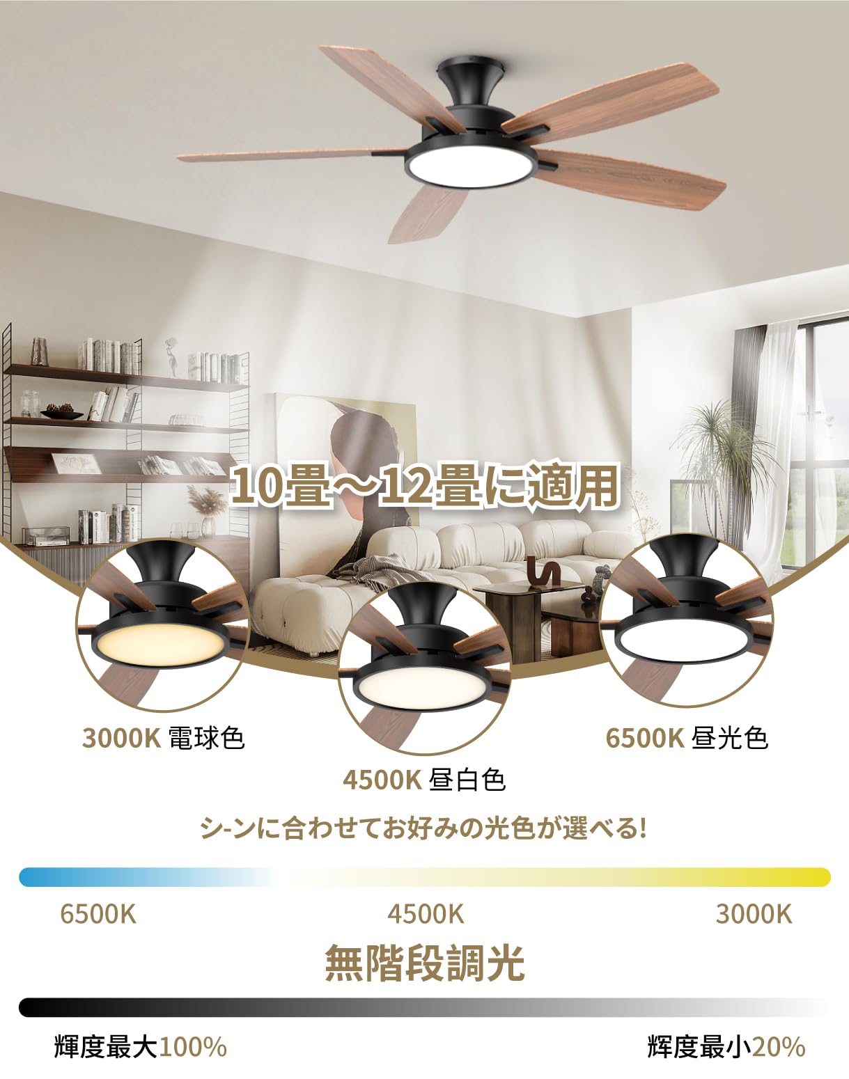 Amazon.co.jp : 【節電-5年保証】TALOYA シーリングファンライト
