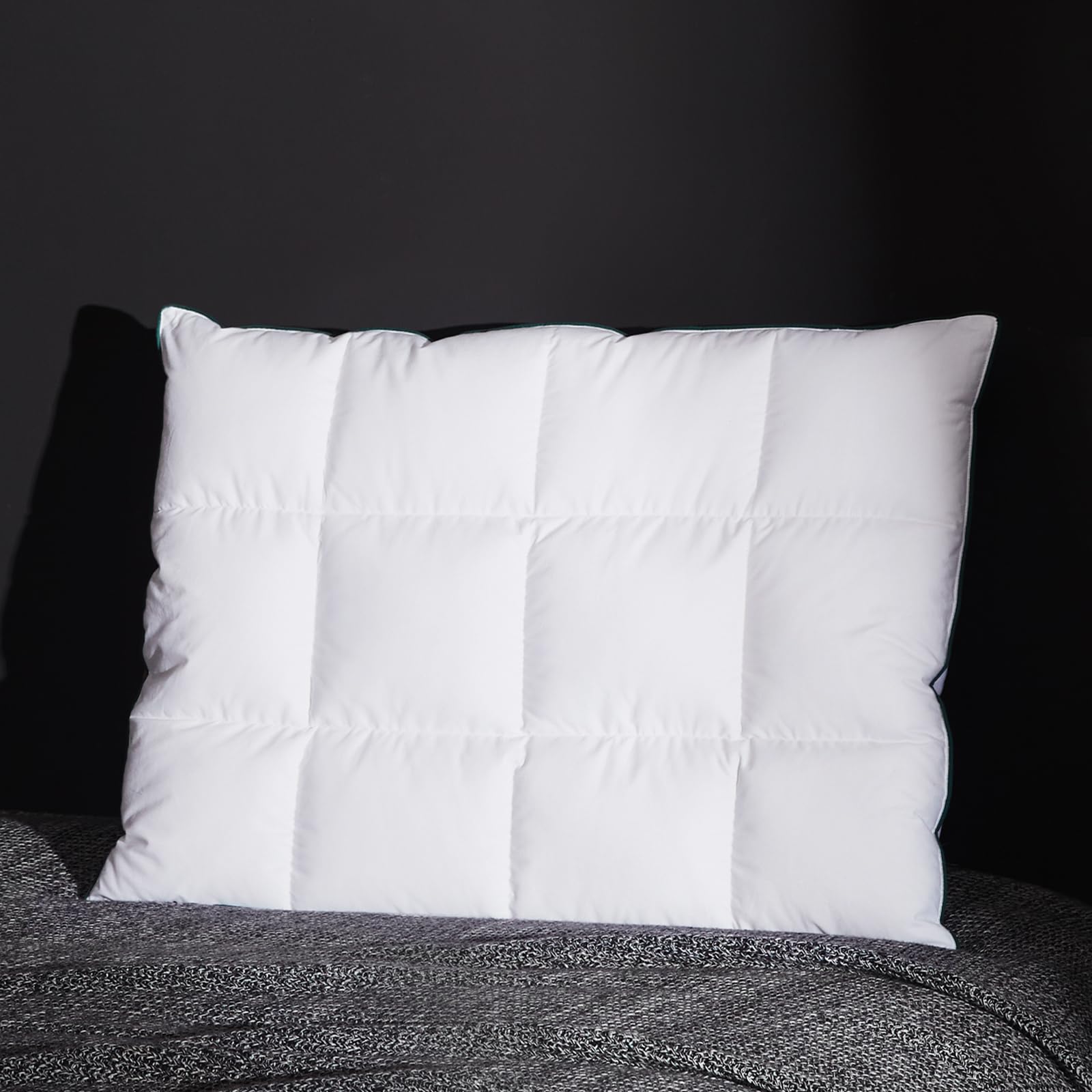 three geese ultra thin flat goose down feather pillows for sleeping standard size, 2.5" height, 100% cotton cover, ultra slim hotel collection bed pillow for stomach, back sleeper, 18x26 in.