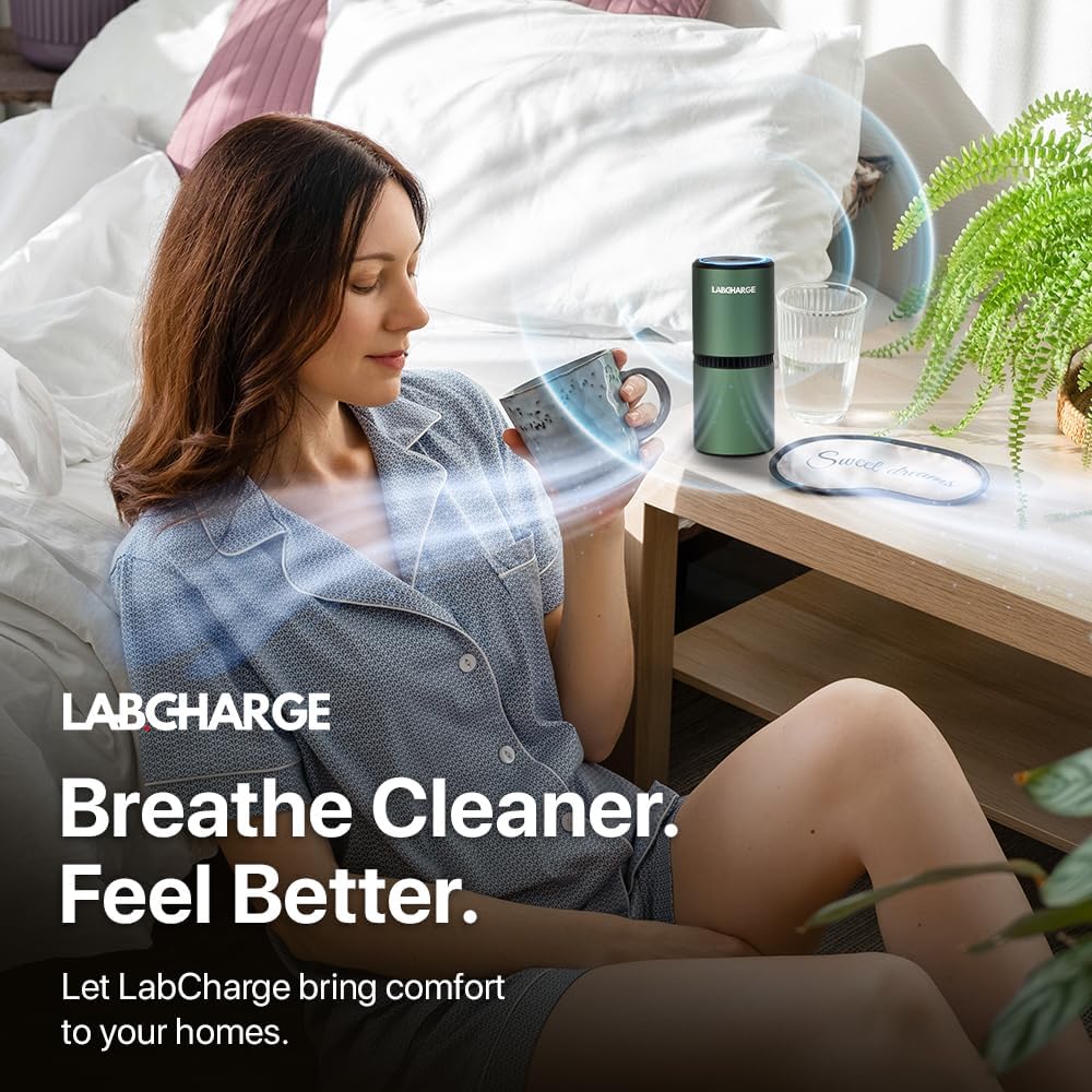 Lab Charge Piccolo purificatore d'aria ionico per casa e camera da letto, filtro HEPA silenzioso, copre 250 mq, detergente per animali domestici, capelli, fumo, polvere, odori e forfora, design