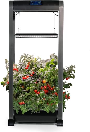 AeroGarden Farm 24XL con kit de semillas para ensalada color negro