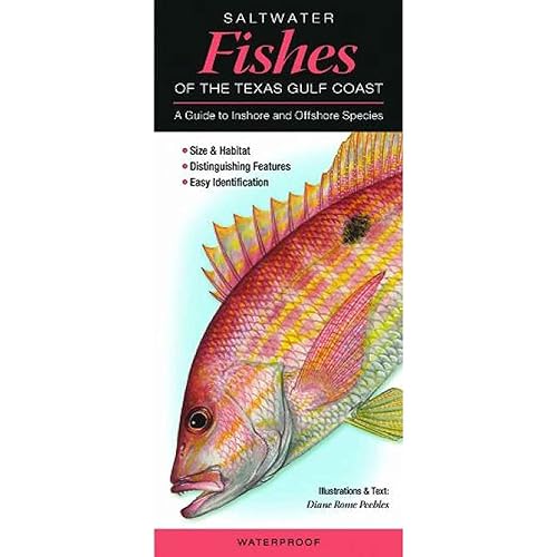 Saltwater Fishes of the Texas Gulf Coast: A Guide to Inshore &amp; Offshore Species