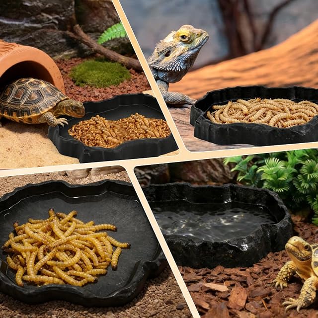 Foto 7 de 8 de FuxFuis Cuenco para Reptiles Comedero para Reptiles Bebedero para Reptiles Comedero de Comida y Agua…