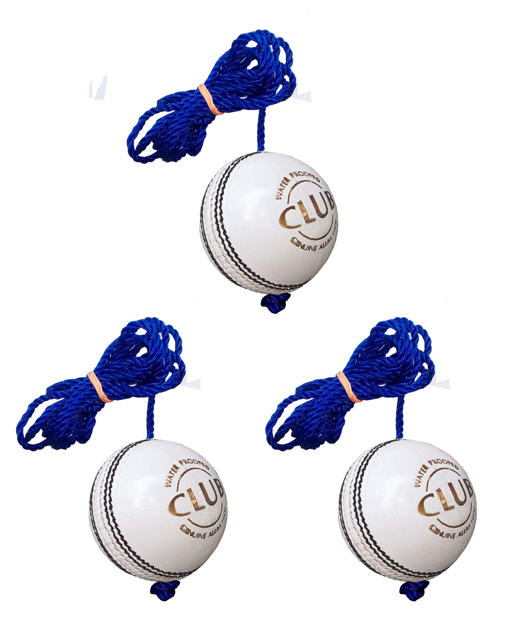 PSE Priya Sports Leather Club Practice Hanging Cricket Ball White Pack of 3 (B07H9SQLBT) Amazon Price History, Amazon Price Tracker