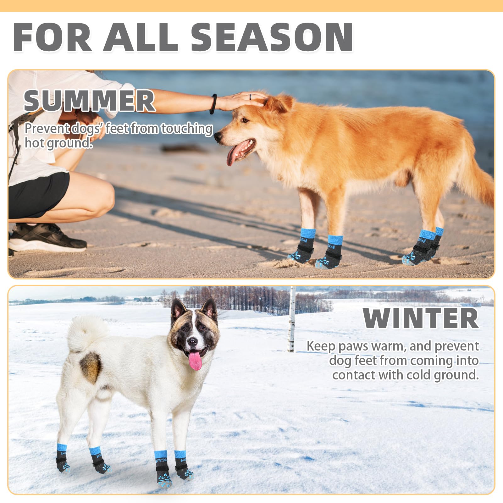 Paw Balm Protecting Dogs Feet In Snow Dogs Dog For Dry Cracked