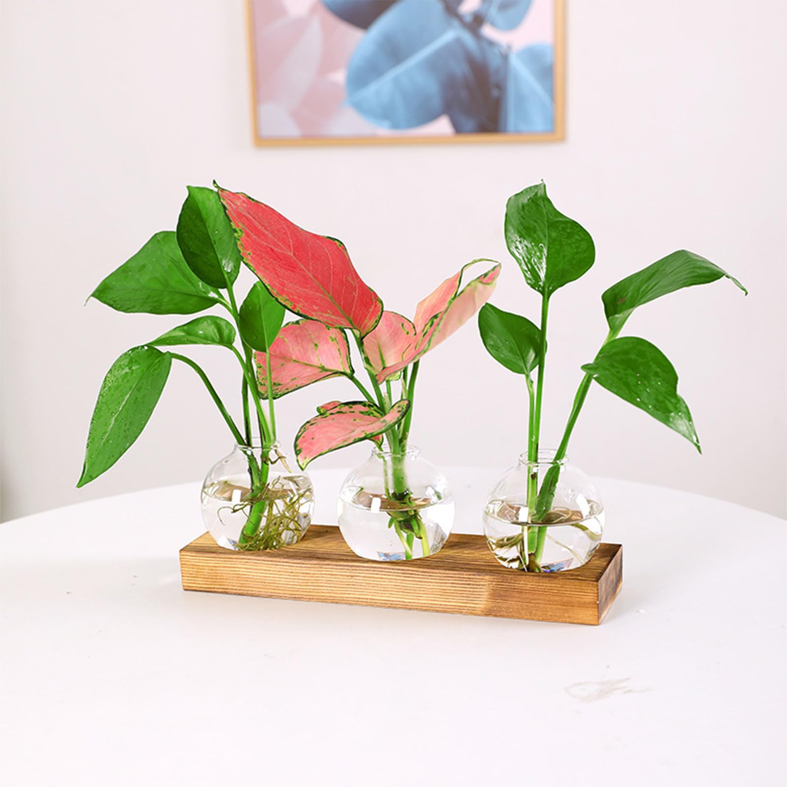 LESES Vaso In Vetro Con Supporto In Legno – Terrario Per Piante E Stazione Di Propagazione, 3 Vasi, Stile Retrò, Per Talee E Fiori