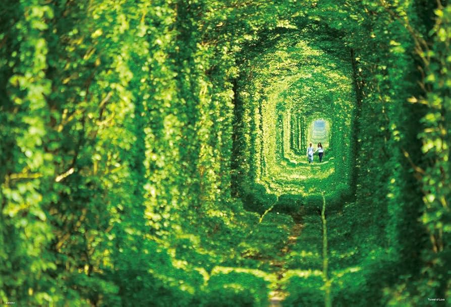 トンネルのある風景 1000ピース ジグソーパズル Amazon.co.jp: 1000ピース ジグソーパズル 恋のトンネル(49x72cm