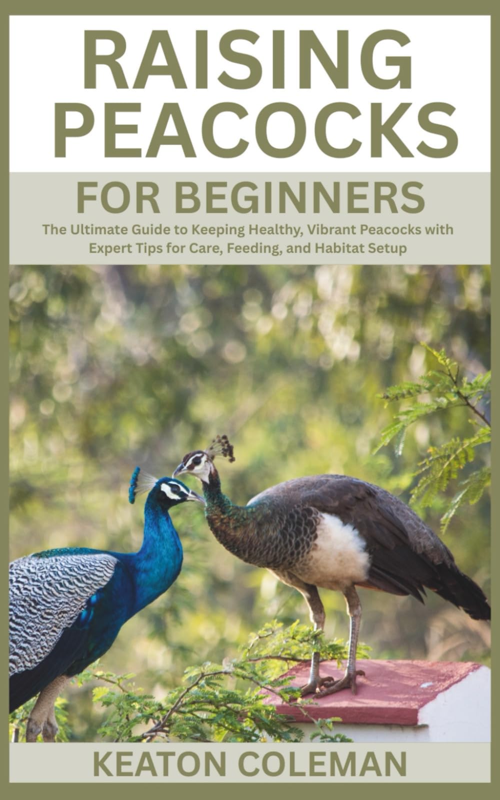 Raising Peacocks for Beginners: The Ultimate Guide to Keeping Healthy, Vibrant Peacocks with Expert Tips for Care, Feeding, and Habitat Setup