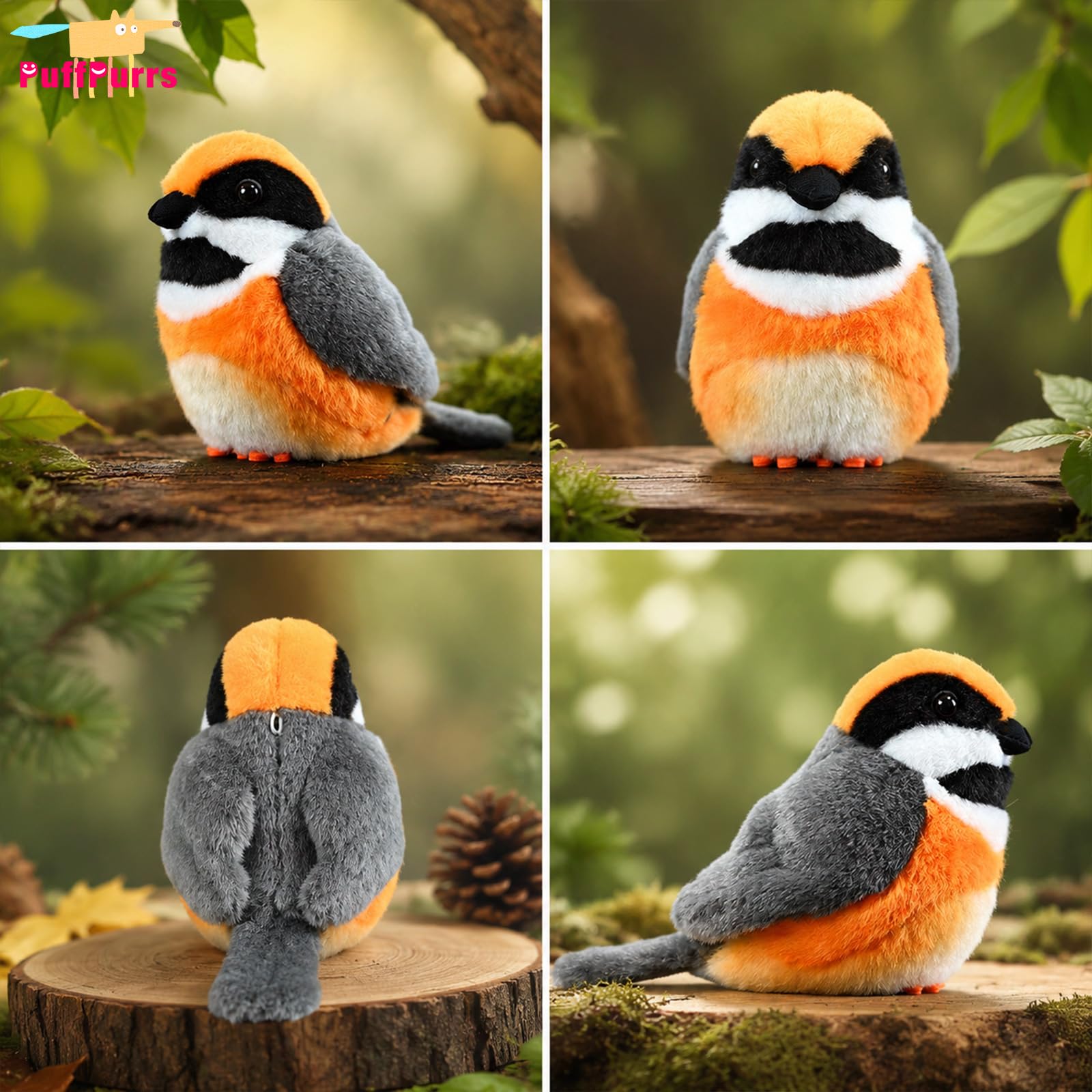 View 5