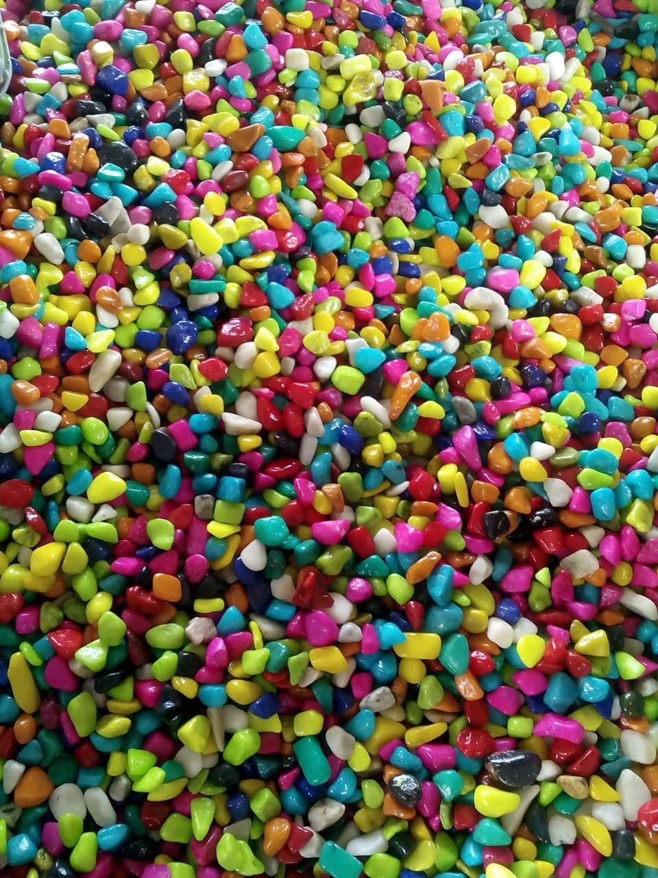 See full amazon price history chart for Amazing Stones Decorative Vase Fillers and Aquarium Pebbles for Garden and Living Room Decor (Multicolour, 2 kg) Amazing Stones Decorative Vase Fillers and Aquarium Pebbles for Garden and Living Room Decor (Multicolour, 2 kg) (B07N8D6F51) Amazon Price History, Amazon Price Tracker