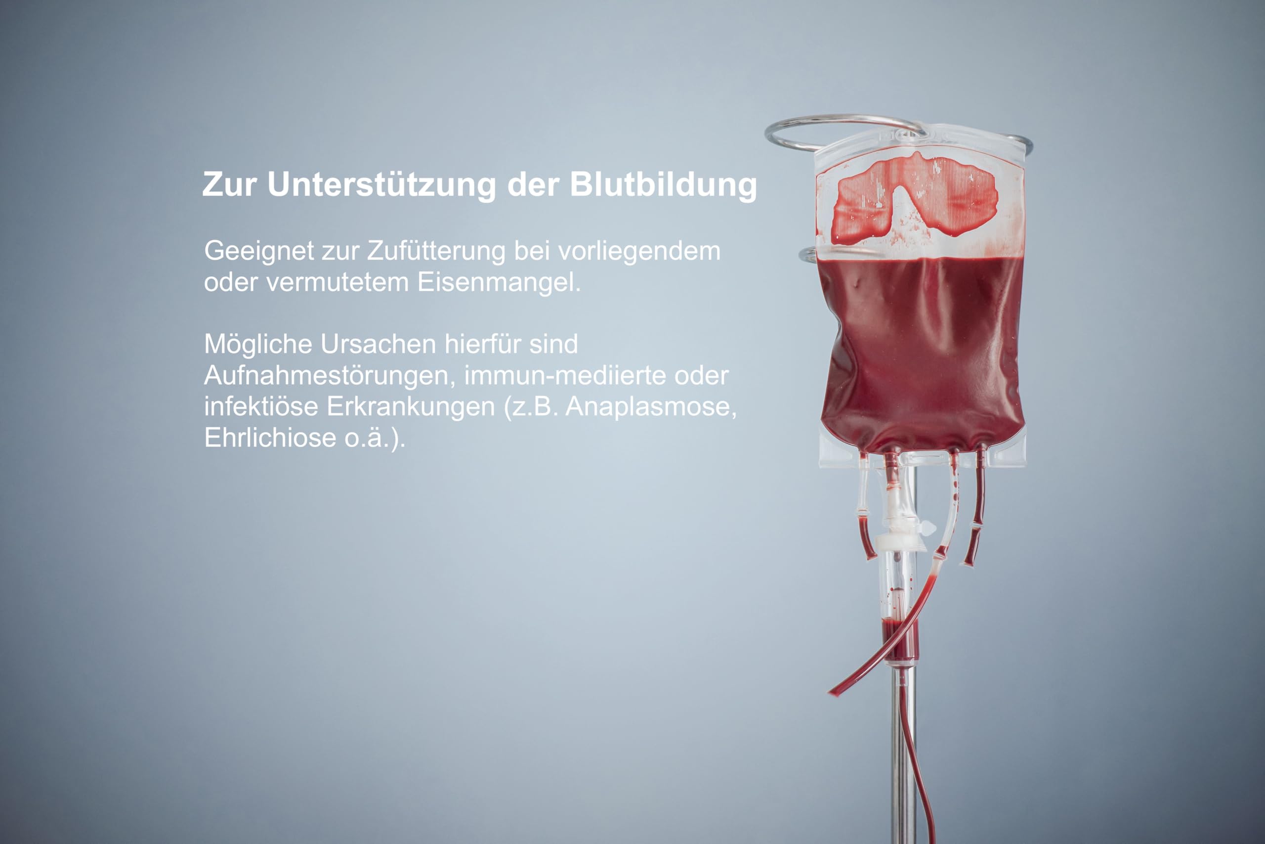Doppelpack | Blood (2 x 100 Tabletten) - Zur Unterstützung der Blutbildung und Eisen-Versorgung von Hunden und Katzen | Mit Eisen, Kupfer, Vitamin A, Vitamin C, Folsäure, B12
