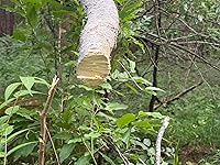 Review Image by I bought this screen protector and guard due to the reviews. Well I do not get what others got. The screen protector did not stick. After multiple attempts at applying the screen protector I gave up as there was lint on the stick side so it was of no use to me. The screen guard worked as detailed in the description. I can not send back as the screen protector is essentially destroyed. Will not buy again from this vendor. I bought this screen protector and guard due to the reviews. Well I do not get what others got. The screen protector did not stick. After multiple attempts at applying the screen protector I gave up as there was lint on the stick side so it was of no use to me. The screen guard worked as detailed in the description. I can not send back as the screen protector is essentially destroyed. Will not buy again from this vendor.