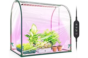 Indoor Mini Greenhouse with Grow Lights for Seed Starting