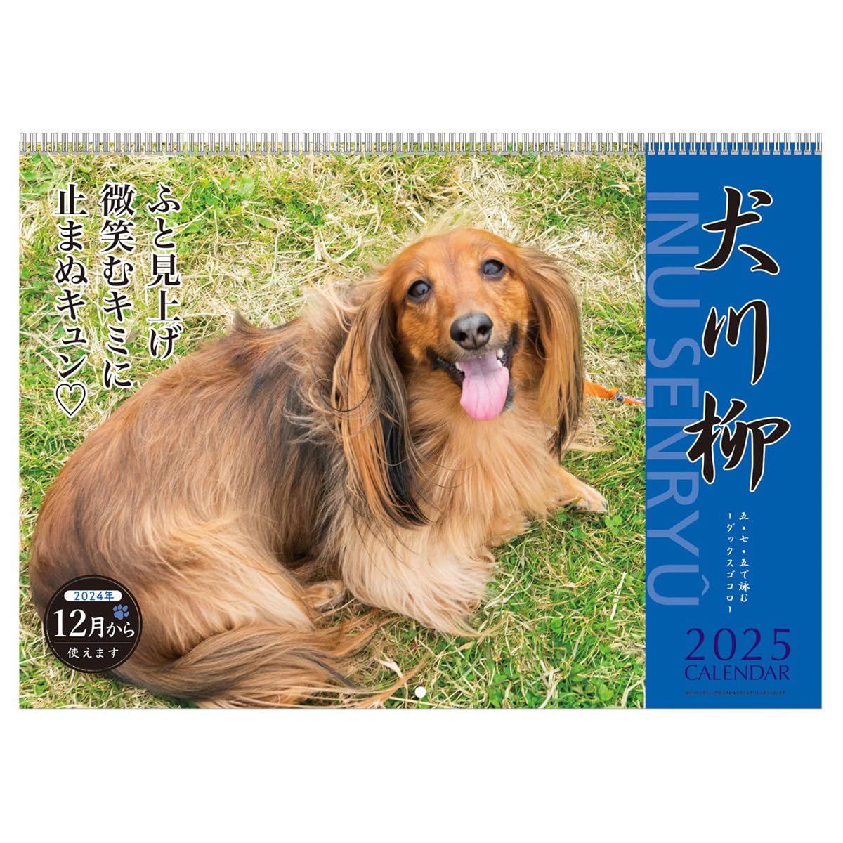 Amazon.co.jp: 2025年 ダックス川柳 カレンダー No.020 : 文房具