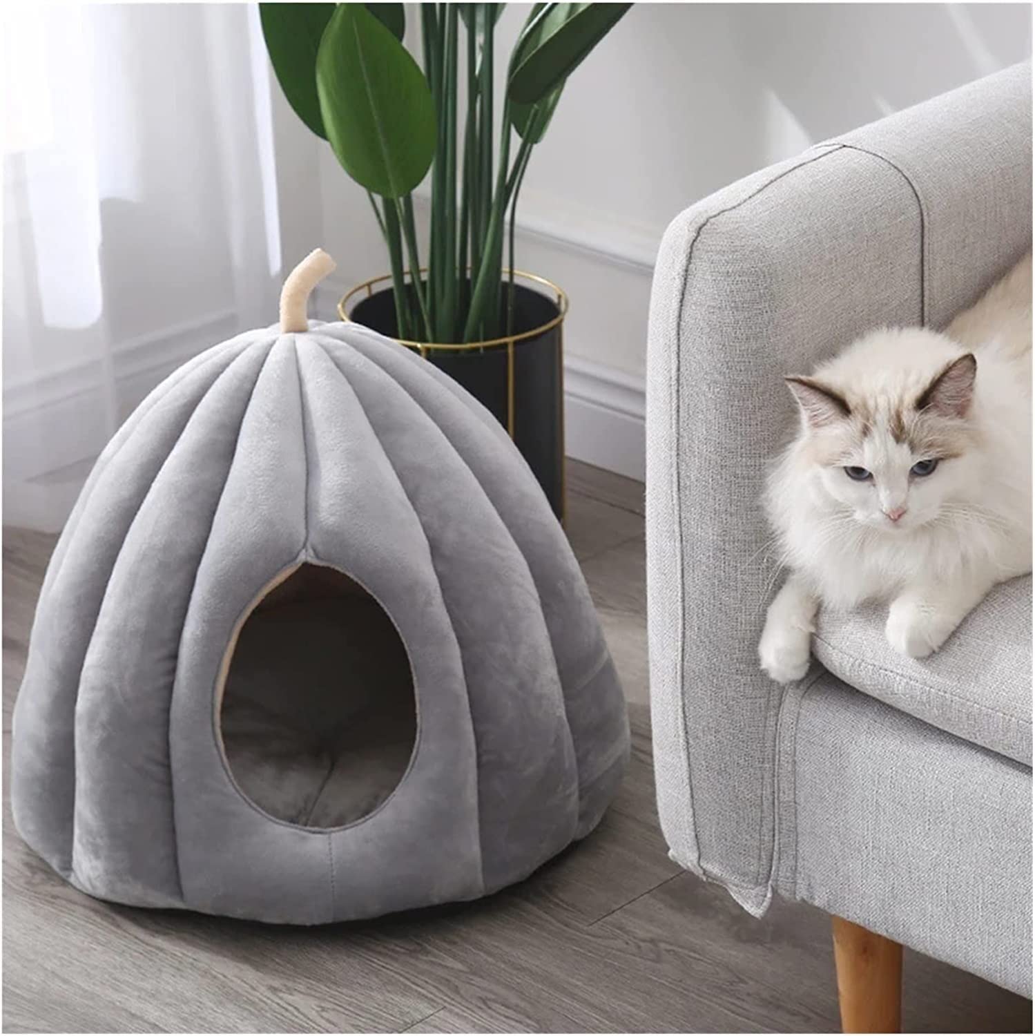 Kürbis-Katzenbett 45x45x40 Cm – Flauschige Halbhöhle Mit Abnehmbarem Kissen Für Wohnungskatzen