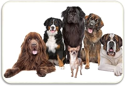 Amazon 犬の家族玄関マット 屋外 外用 ラバーマット エントランスマット 玄関マット オンライン通販