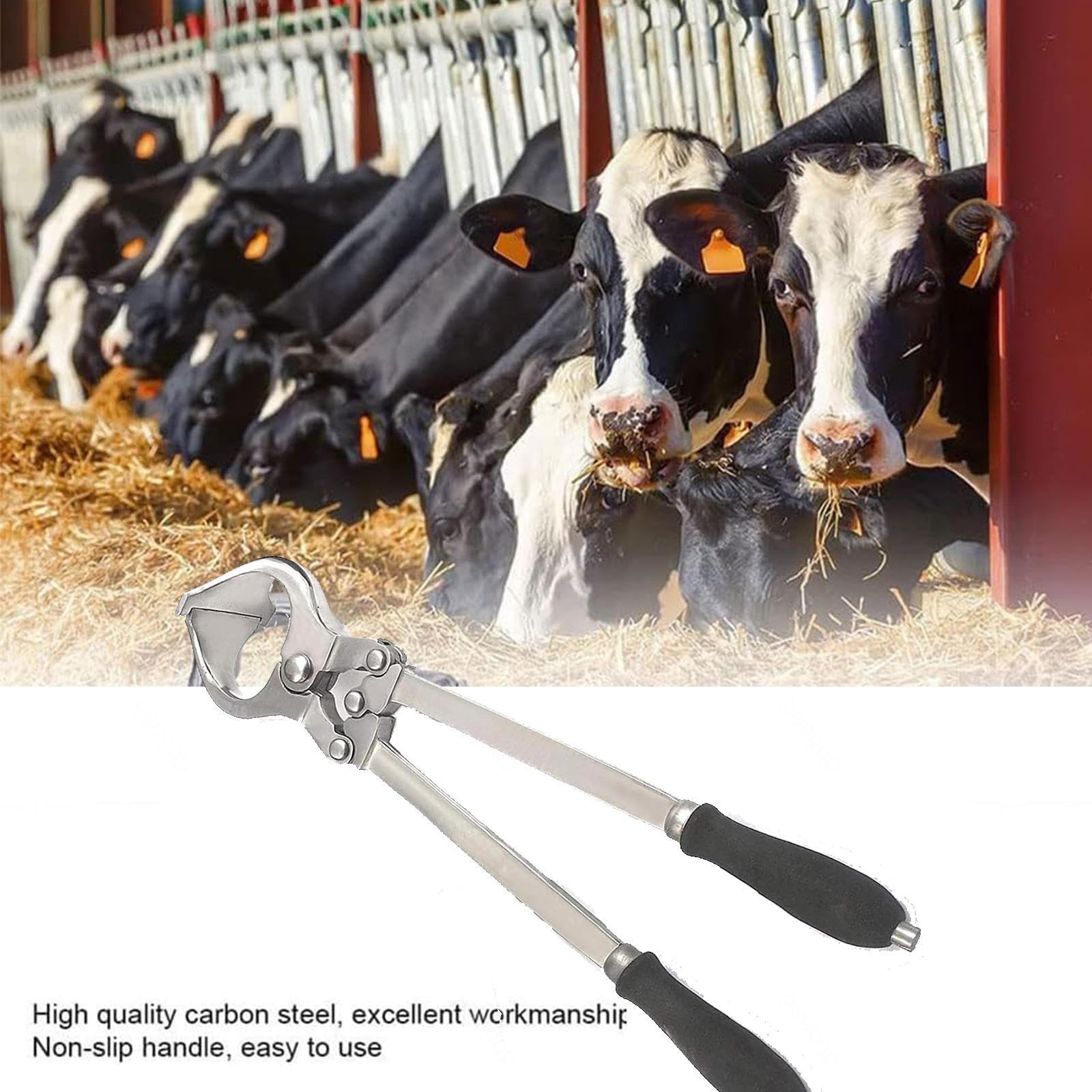 Pinza per castrazione Bovina, Pinza per castrazione in Acciaio Inossidabile, Apertura Massima 3,8 cm, Strumento Veterinario, per veterinari, allevatori e custodi di Animali