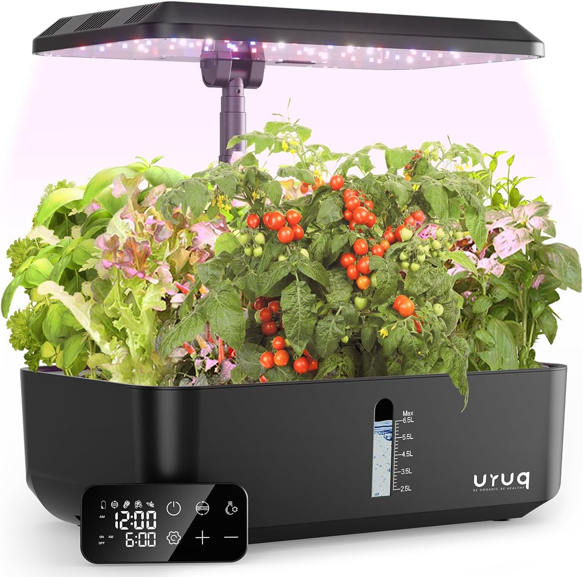 Hydroponics Growing System Garden: 12 Pods Indoor Gardening System with Custom Time Grow Light Height Adjustable Quiet Plants Germination Kit - Gardening Gifts Charcoal