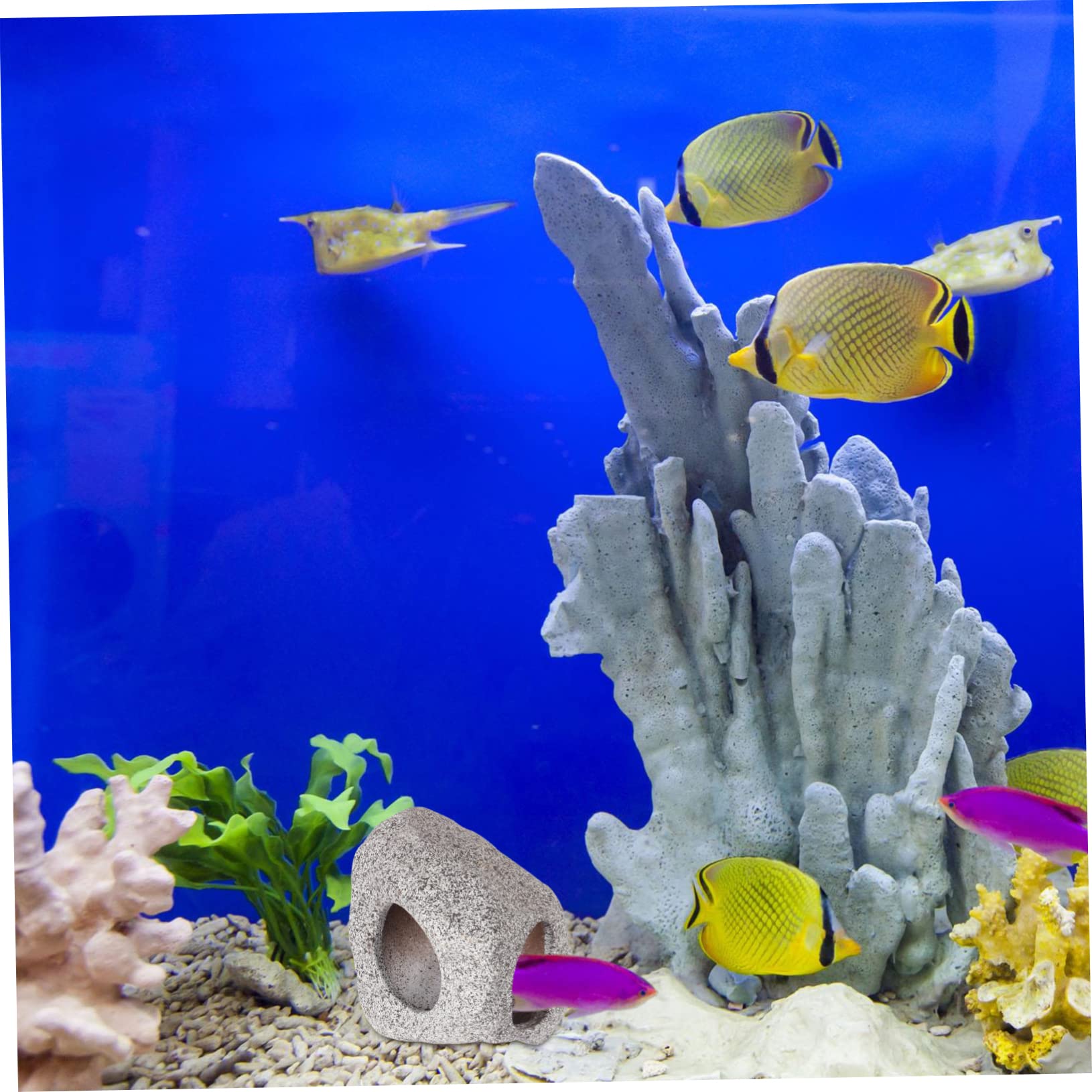 Sosoport 3stücke Versteck Für Fische Keramische Hiding Cave Für Aquarien Dekoratives Ornament Für Zierfische Und Langlebig Für Zucht Spiel Und