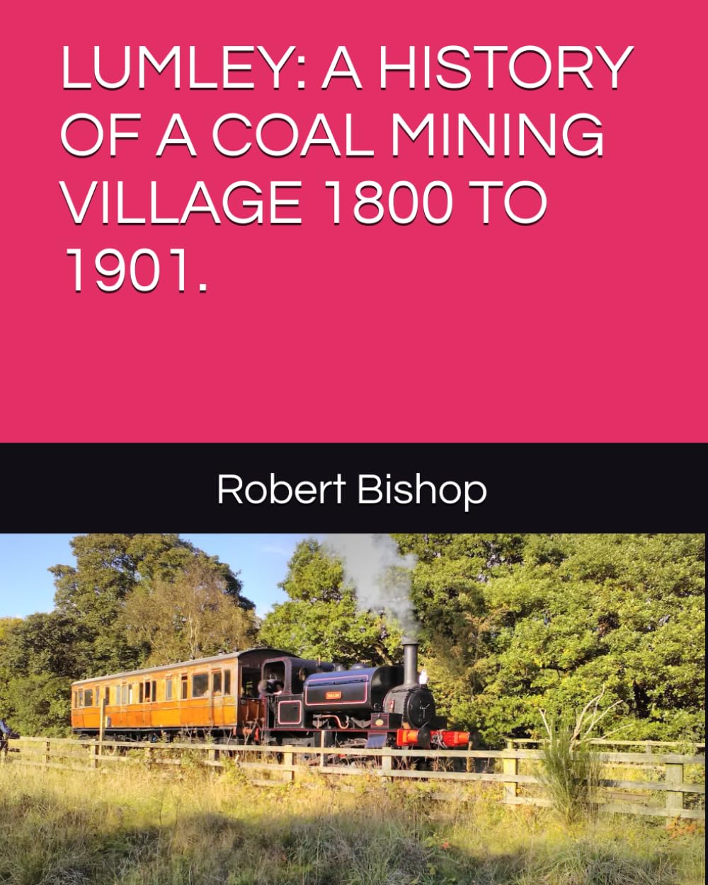 LUMLEY: A HISTORY OF A COAL MINING VILLAGE 1800 TO 1901.