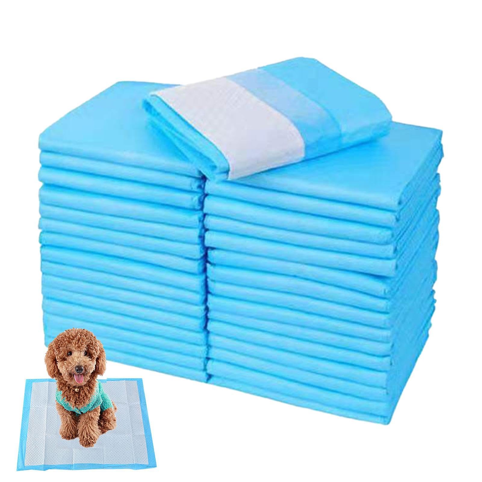 Tapis d'urine pour chien dans la maison et cage de hamster